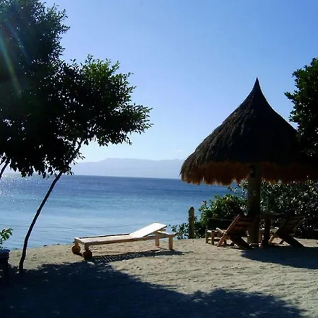 Sea Turtle House Moalboal Hotel