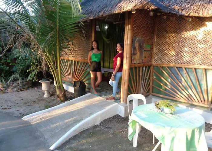 Sea Turtle House
