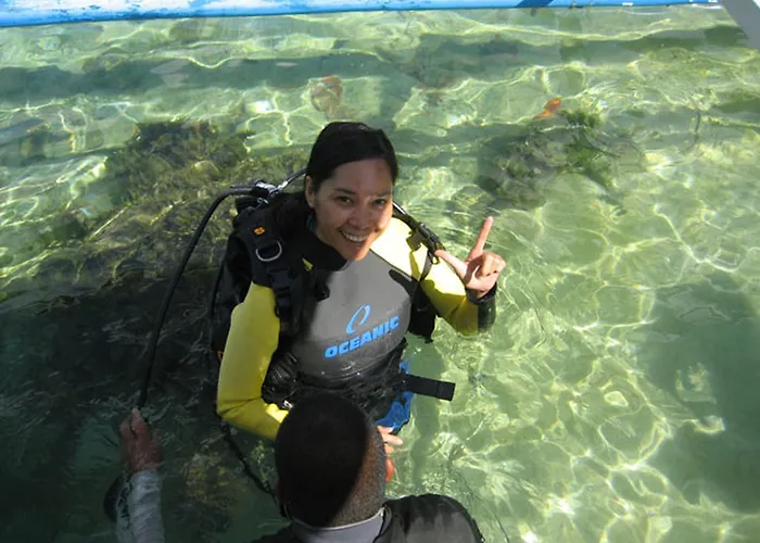 Sea Turtle House Affittacamere Moalboal