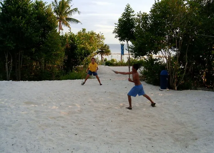 Affittacamere Sea Turtle House 3*