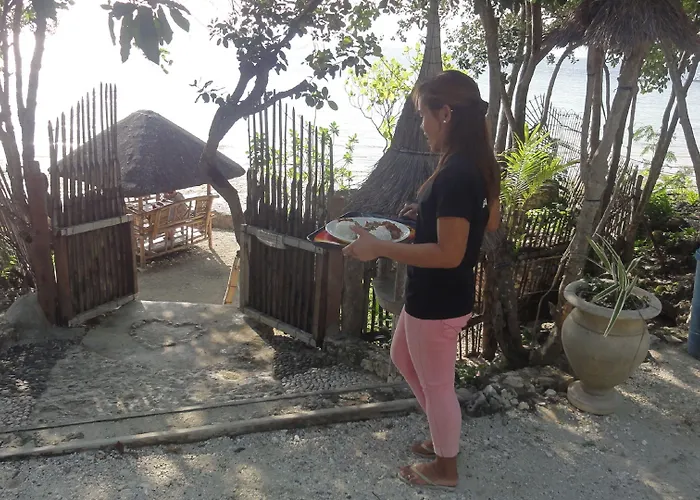 Affittacamere Sea Turtle House 3*