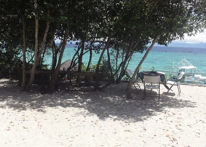 Sea Turtle House