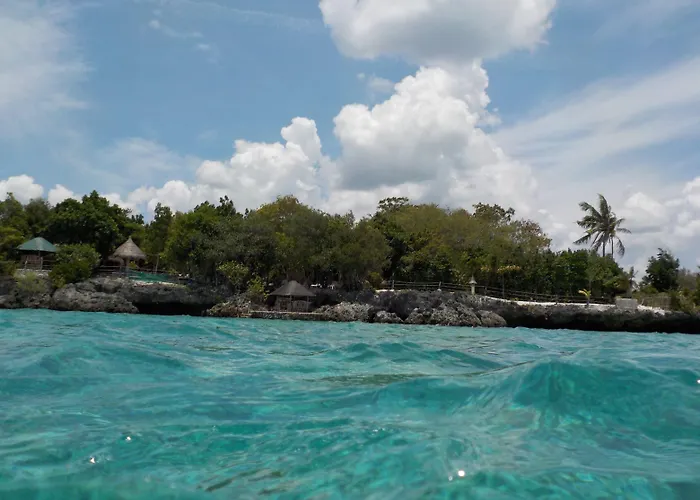 Affittacamere Sea Turtle House 3*