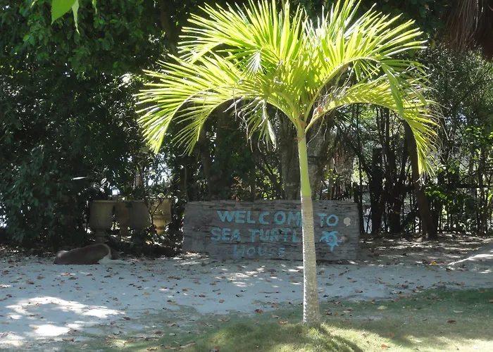 Sea Turtle House Affittacamere