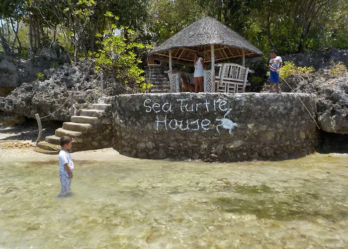 Sea Turtle House Affittacamere 3*