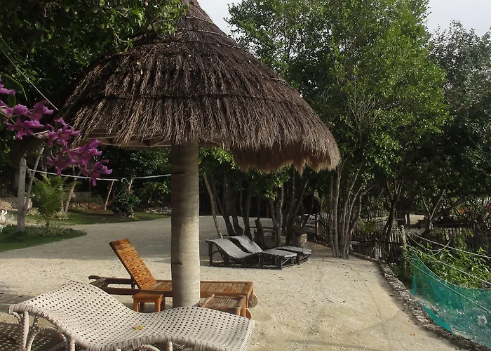 Sea Turtle House