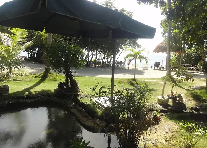 Affittacamere Sea Turtle House 3*