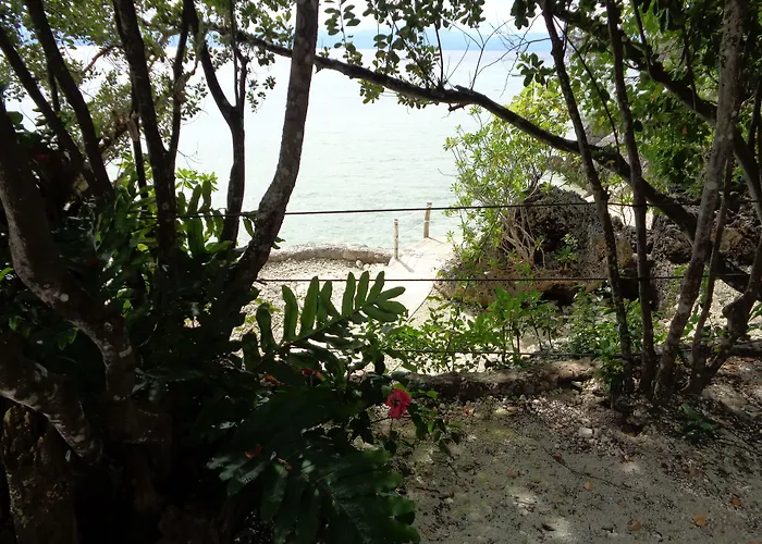 Sea Turtle House 3* Moalboal
