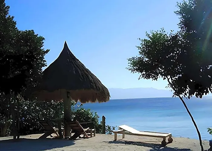 Sea Turtle House