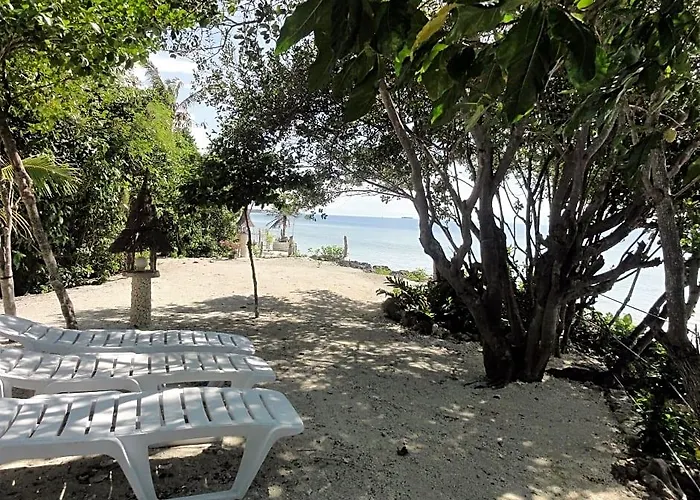 Affittacamere Sea Turtle House 3*