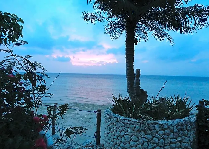 Affittacamere Sea Turtle House