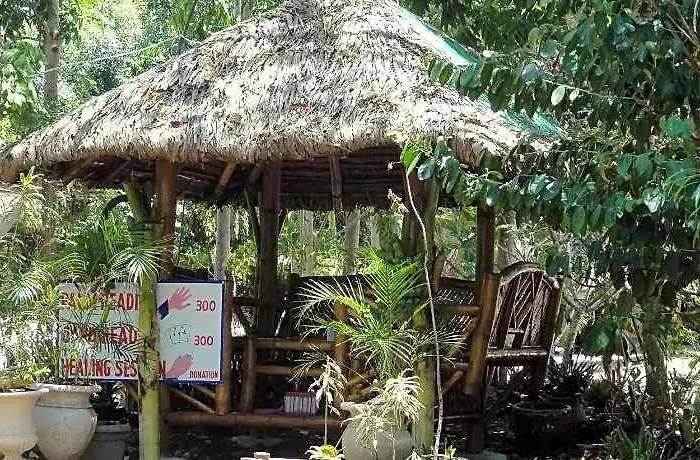 Sea Turtle House Moalboal