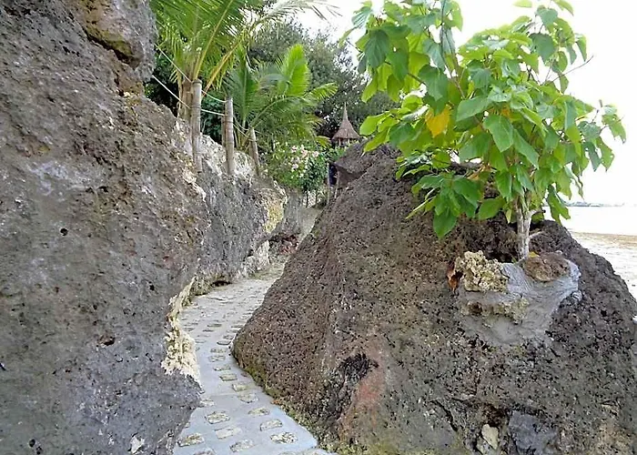 Sea Turtle House