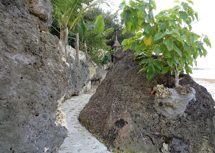 Sea Turtle House Affittacamere Moalboal