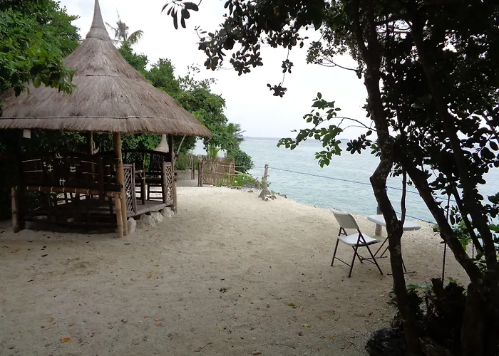 Sea Turtle House