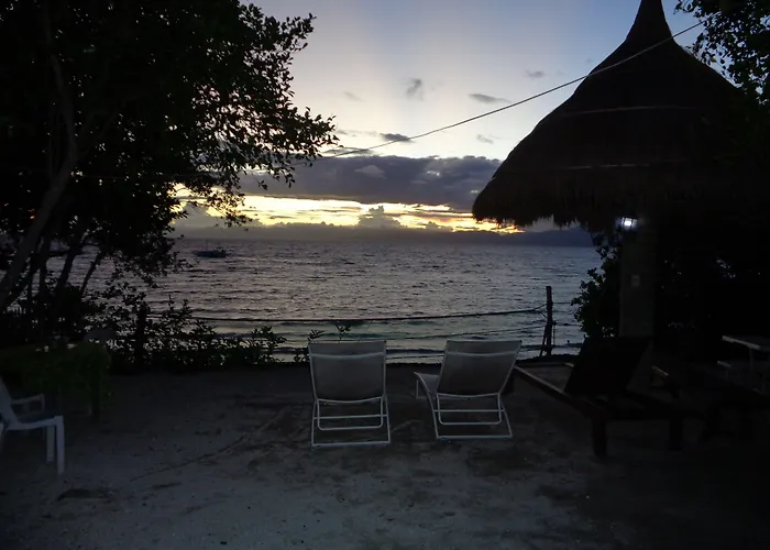 Affittacamere Sea Turtle House