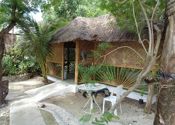 Sea Turtle House Affittacamere Moalboal