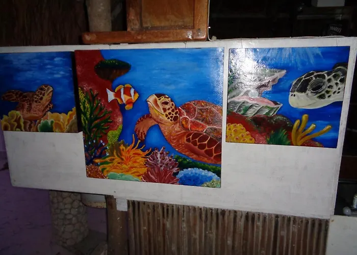 Affittacamere Sea Turtle House