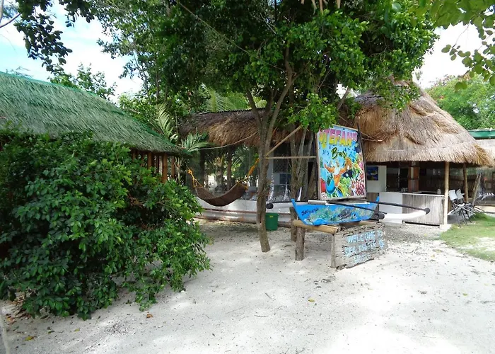 Sea Turtle House